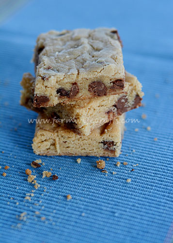 chocchipcookiebar4