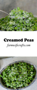 A nice twist on the boring old peas that your kids dislike! These will have them begging for more!