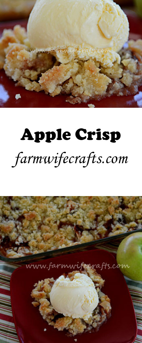 This simple fall dessert is perfect for fresh picked apples.