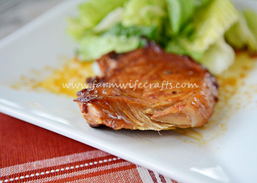 This pork chop delight recipe from Gooseberry Patch is only 4 ingredients and will please your family. It can even be made in the crockpot.