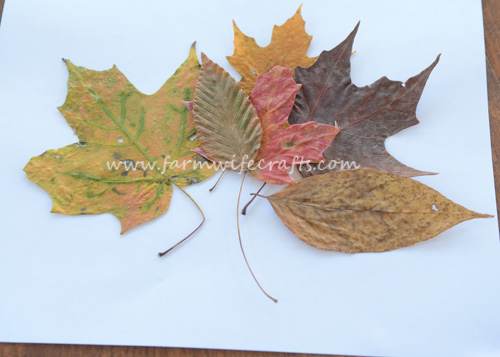 Googly Eye Leaf Creatures - The Farmwife Crafts