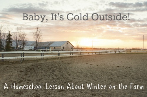 Winter on the Farm Homeschool Lesson