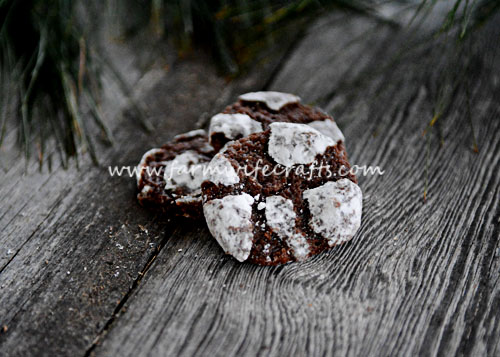 Just like the popular Chocolate Crinkles, but with a different name, these Chocolate Puffs are fudgy and gooey and perfect for the holidays!