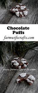 Just like the popular Chocolate Crinkles, but with a different name, these Chocolate Puffs are fudgy and gooey and perfect for the holidays!