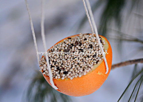A simple to make all-natural orange bird feeder made from an orange.