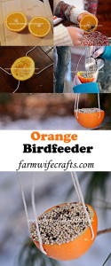 A simple to make all-natural orange bird feeder made from an orange.