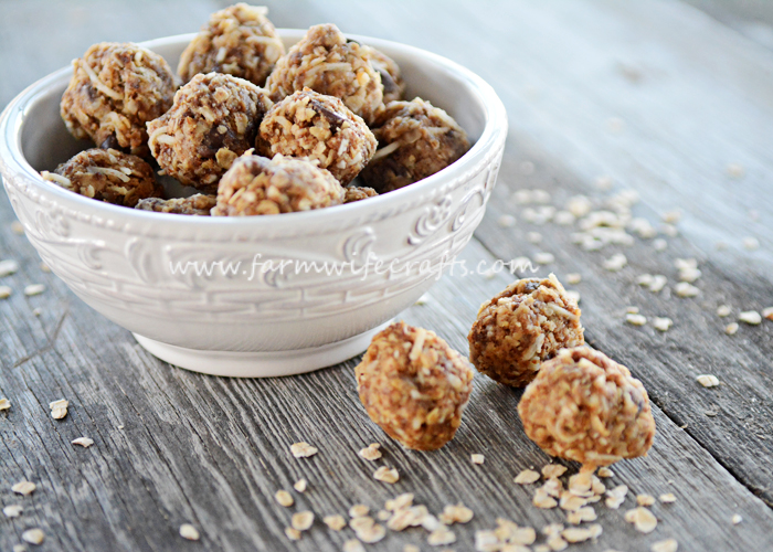 Are you looking for a healthy, easy-to-make snack that will help keep your busy crew energized?  Are you a busy mom like me?  You need these No-Bake Energy Bites in your life!