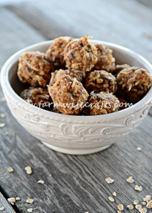 Are you looking for a healthy, easy-to-make snack that will help keep your busy crew energized?  Are you a busy mom like me?  You need these No-Bake Energy Bites in your life!