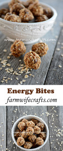 Are you looking for an easy yet healthy after-school snack for your kids? These no-bake energy bites are what you need in your life!