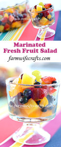 This Marinated Fresh Fruit Salad is the perfect summer time treat.