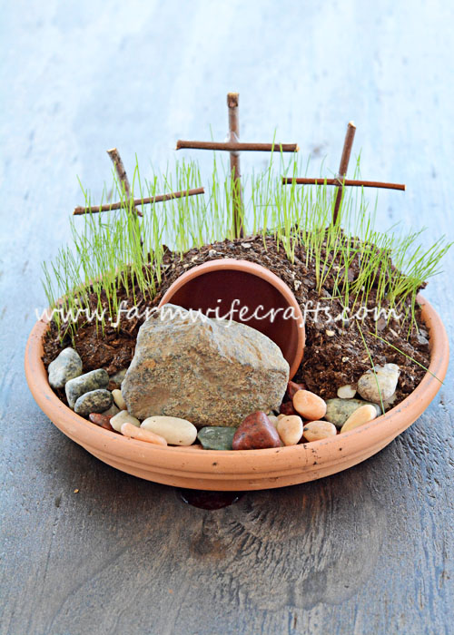 How to Plant Lenten Grass (Easter Grass)