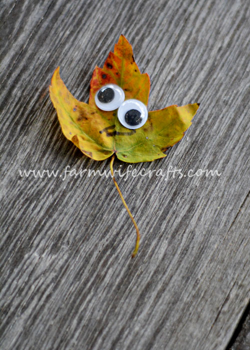 These googly eye leaf creatures are a quick and easy fall craft to make with your kids.