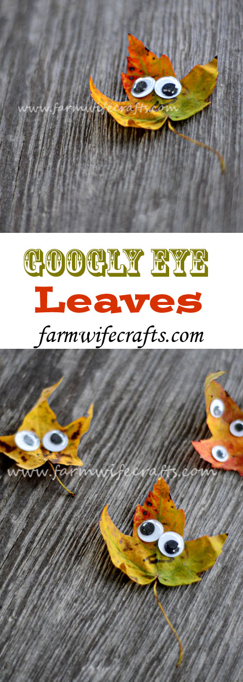 Googly Eye Leaf Creatures - The Farmwife Crafts