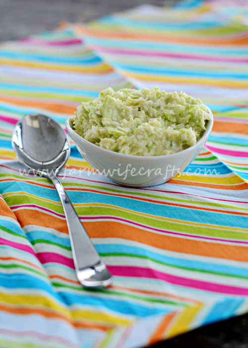 This Easy Creamy Coleslaw is only 2 ingredients and only takes 5 minutes to make.