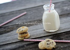 Who doesn't love a good chocolate chip cookie?  Maybe warm with a glass of ice cold milk?  If you are one of those people then you HAVE  to try this recipe for these delicious Chocolate Chip Shortbread Cookies!