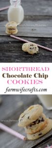 Who doesn't love a good chocolate chip cookie?  Maybe warm with a glass of ice cold milk?  If you are one of those people then you HAVE  to try this recipe for these delicious Chocolate Chip Shortbread Cookies!