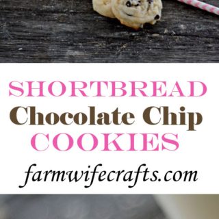 Who doesn't love a good chocolate chip cookie? Maybe warm with a glass of ice cold milk? If you are one of those people then you HAVE to try this recipe for these delicious Chocolate Chip Shortbread Cookies!