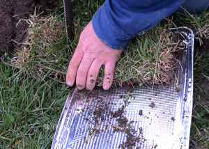 Have you ever wondered what the effects of soil erosion are, or how it is caused? Maybe you are looking for a science experiment to do with your kids, either at home or in their classroom. Parents love the dreaded science fair time, right?!:) Well, this Soil Erosion Science Experiment may be exactly what you are looking for.