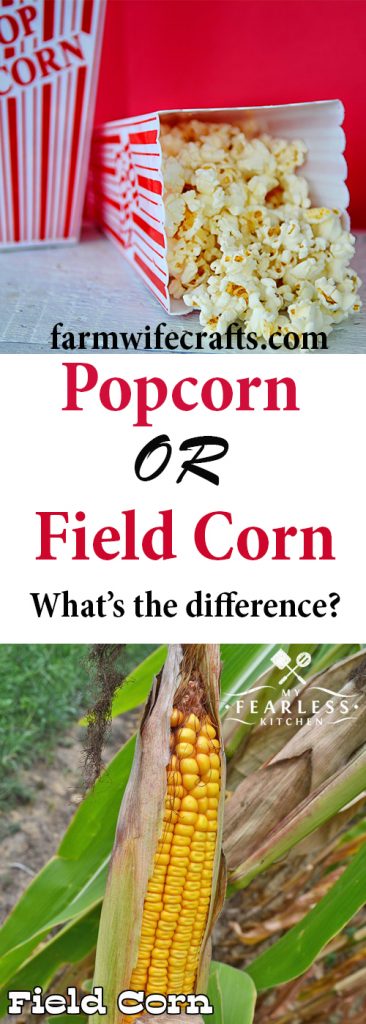 Popcorn is a favorite snack around here.  We love to have popcorn and movie nights especially in the winter. Have you ever wondered what the difference is between popcorn and field corn?  National Popcorn Day is January 19th and what better way to celebrate than with a lists of some of my favorite popcorn recipes and some fun facts about popcorn?;)