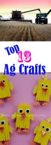 Are you looking for some fun and educational ways to teach your kids more about the world of agriculture?  I have compiled my top 12 Ag crafts to share with you!