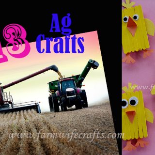 Are you looking for some fun and educational ways to teach your kids more about the world of agriculture?  I have compiled my top 12 Ag crafts to share with you!