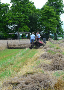 Have you ever driven by a field that looks like it has something planted in between the corn stalks in the dead of winter or early Spring?  Those are called "cover crops."  What is a cover crop?  They may look something like this...