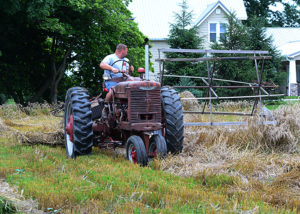 Have you ever driven by a field that looks like it has something planted in between the corn stalks in the dead of winter or early Spring?  Those are called "cover crops."  What is a cover crop?  They may look something like this...