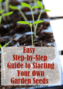 Are you thinking of starting a garden?  Or, maybe you've had a garden for the last several years, but are considering starting your own seeds?  Starting Garden Seeds Indoors doesn't have to be complicated, actually it's extremely easy to do.  You don't have to have fancy equipment either.  In this post I'm going to give you some tips and share just how easy it is to start your own garden seeds indoors!