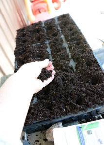 Are you thinking of starting a garden?  Or, maybe you've had a garden for the last several years, but are considering starting your own seeds?  Starting Garden Seeds Indoors doesn't have to be complicated, actually it's extremely easy to do.  You don't have to have fancy equipment either.  In this post I'm going to give you some tips and share just how easy it is to start your own garden seeds indoors!