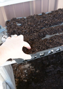 Are you thinking of starting a garden?  Or, maybe you've had a garden for the last several years, but are considering starting your own seeds?  Starting Garden Seeds Indoors doesn't have to be complicated, actually it's extremely easy to do.  You don't have to have fancy equipment either.  In this post I'm going to give you some tips and share just how easy it is to start your own garden seeds indoors!