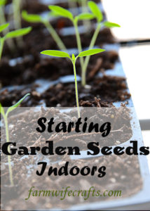 Are you thinking of starting a garden?  Or, maybe you've had a garden for the last several years, but are considering starting your own seeds?  Starting Garden Seeds Indoors doesn't have to be complicated, actually it's extremely easy to do.  You don't have to have fancy equipment either.  In this post I'm going to give you some tips and share just how easy it is to start your own garden seeds indoors!