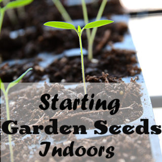Are you thinking of starting a garden?  Or, maybe you've had a garden for the last several years, but are considering starting your own seeds?  Starting Garden Seeds Indoors doesn't have to be complicated, actually it's extremely easy to do.  You don't have to have fancy equipment either.  In this post I'm going to give you some tips and share just how easy it is to start your own garden seeds indoors!