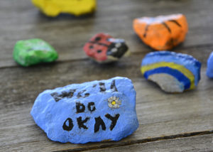 Have you all heard of the kindness project with painted rocks?  Well, we jumped on the bandwagon even if we didn't follow the "rules," but that's just how we roll.