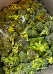 Did you decide to plant broccoli in your garden this year?  If so, here is a simple recipe that shows you how to freeze broccoli!