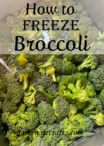 Did you decide to plant broccoli in your garden this year?  If so, here is a simple recipe that shows you how to freeze broccoli!