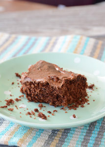 If you're garden is giving you zucchinis, you need to try this recipe for Zucchini Brownies!