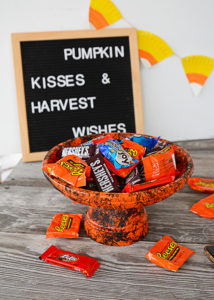 It's almost Halloween and that means all things spooky and sweet!  This DIY Halloween Candy Dish is the perfect place to stash all your sweet Halloween candy for Trick-or-Treaters.