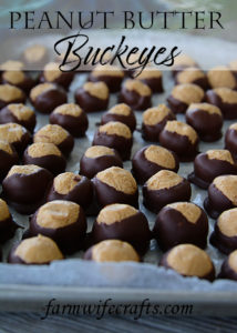 Buckeyes.  They're a Christmas favorite and one of the most popular holiday foods to make and share with friends and family.  They are so easy to make and so yummy.  You will have a hard time giving them away because they are so good!
